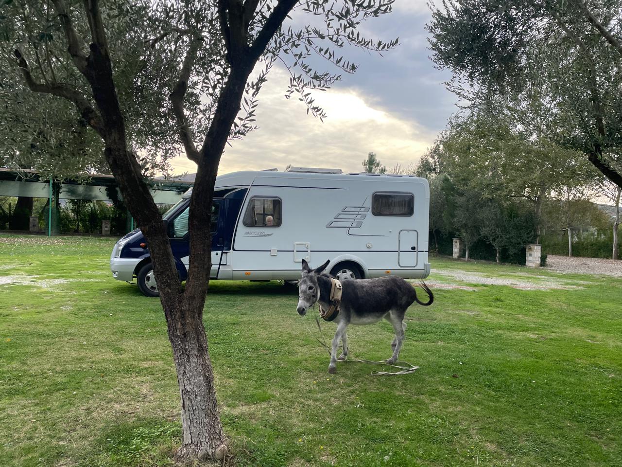 WhatsApp Image 2026-03-29 at 6.09.22 PM